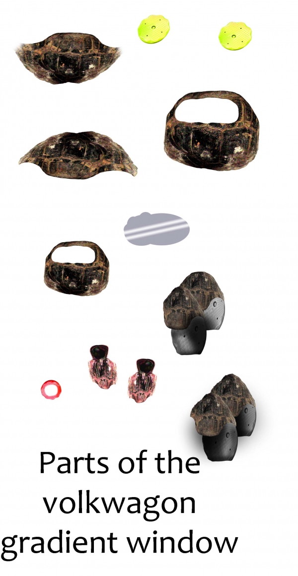 Creation of Turtle Beetle w/Pink Interior: Step 7